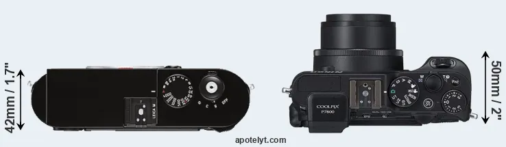 Compare M Typ 262 versus P7800 top