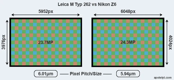 M Typ 262 versus Z6 MP