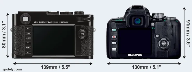 Comparison M Typ 262 or E-400 rear