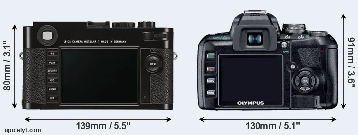 Comparison M Typ 262 or E-410 rear