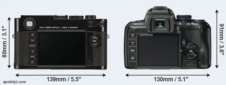 Comparison M Typ 262 or E-450 rear