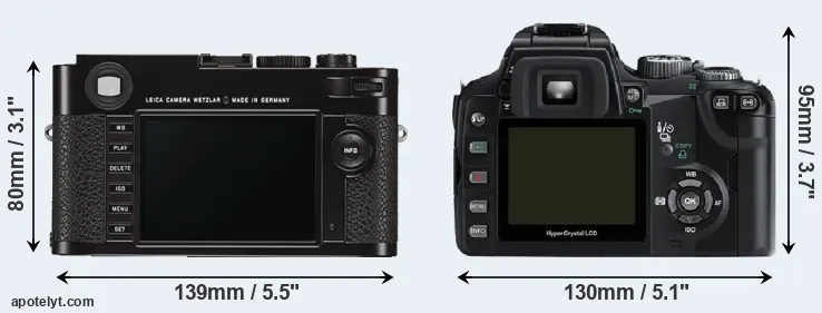 Comparison M Typ 262 or E-500 rear