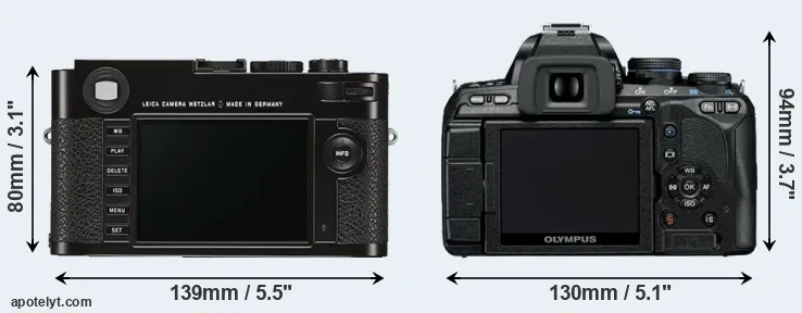 Comparison M Typ 262 or E-600 rear