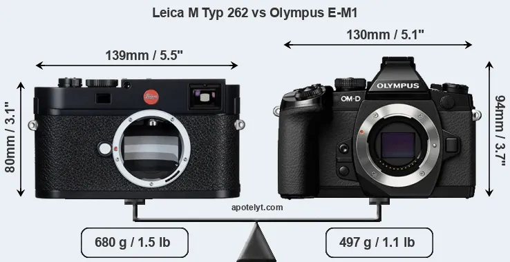 Size Leica M Typ 262 vs Olympus E-M1