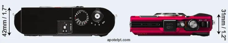 Compare M Typ 262 versus TG-4 top
