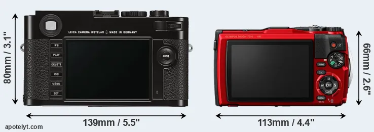 Comparison M Typ 262 or TG-6 rear