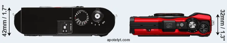 Compare M Typ 262 versus TG-6 top
