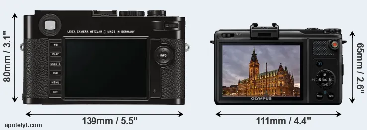 Comparison M Typ 262 or XZ-1 rear
