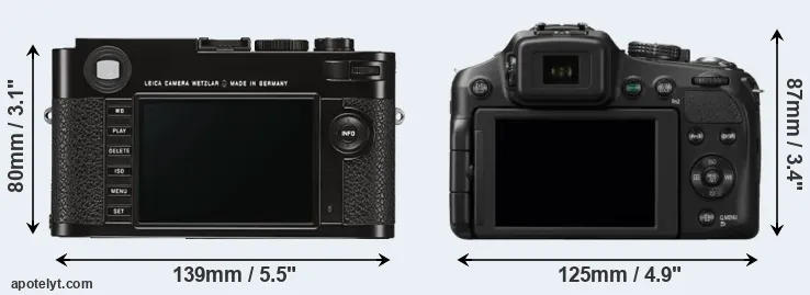 Comparison M Typ 262 or FZ200 rear