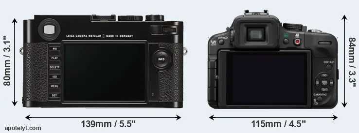 Comparison M Typ 262 or G3 rear