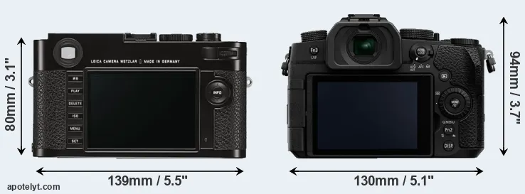 Comparison M Typ 262 or G95 rear