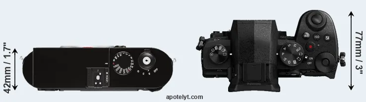 Compare M Typ 262 versus G95 top