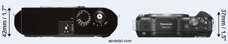 Compare M Typ 262 versus GF5 top