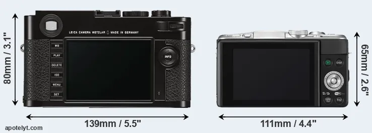 Comparison M Typ 262 or GF6 rear