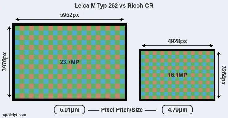 M Typ 262 versus GR MP