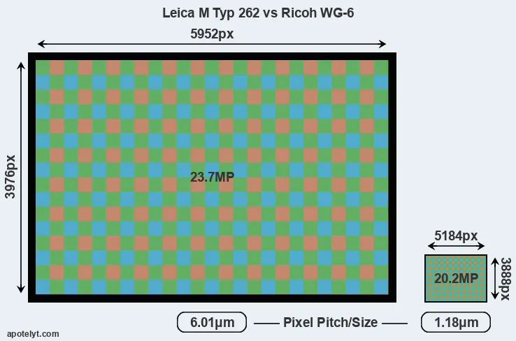 M Typ 262 versus WG-6 MP