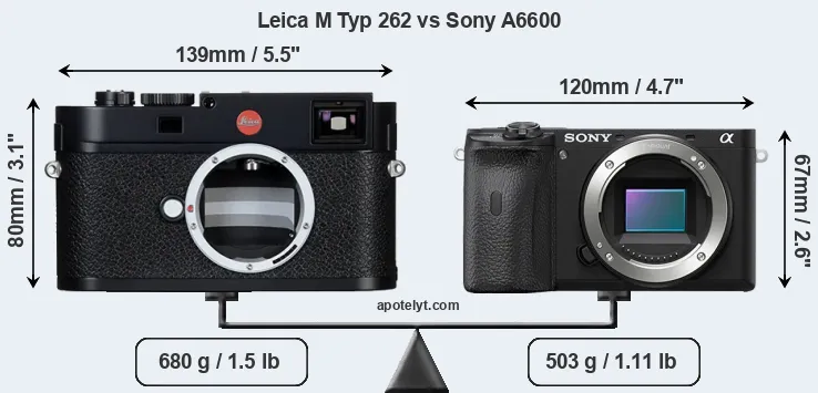 Size Leica M Typ 262 vs Sony A6600
