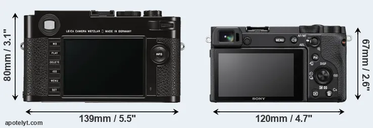 Comparison M Typ 262 or A6600 rear