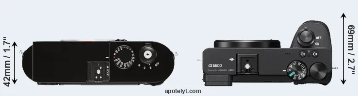 Compare M Typ 262 versus A6600 top
