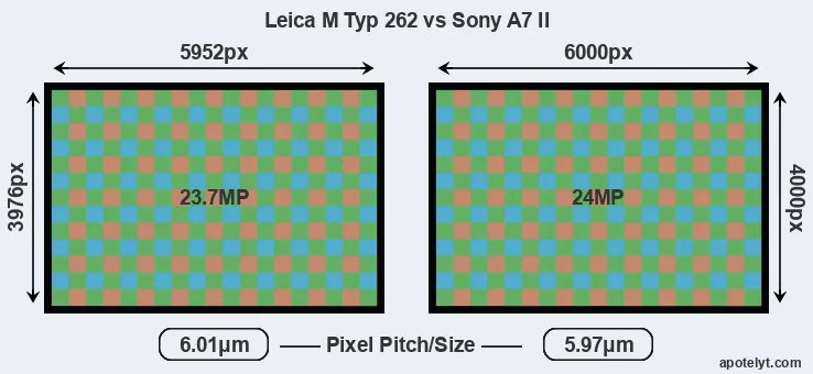 M Typ 262 versus A7 II MP