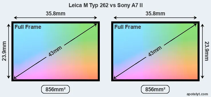 Leica M Typ 262 and Sony A7 II sensor measures