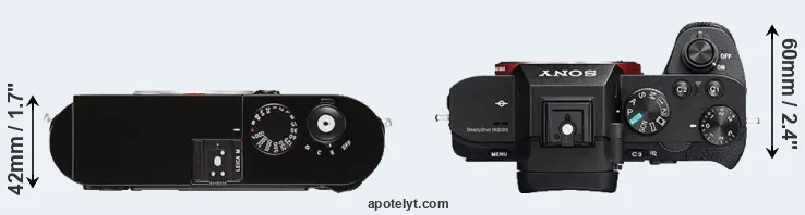 Compare M Typ 262 versus A7 II top