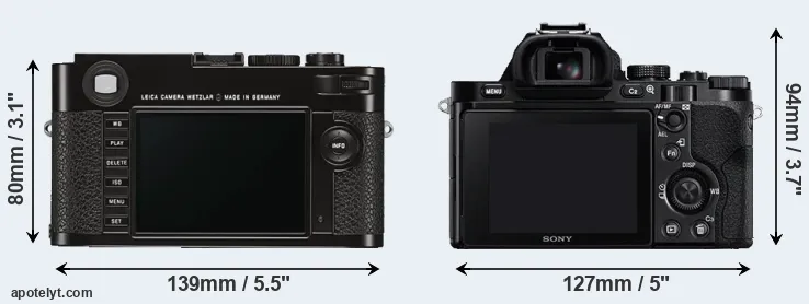 Comparison M Typ 262 or A7 rear