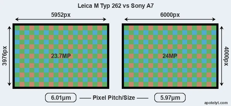 M Typ 262 versus A7 MP