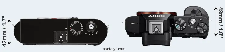Compare M Typ 262 versus A7 top