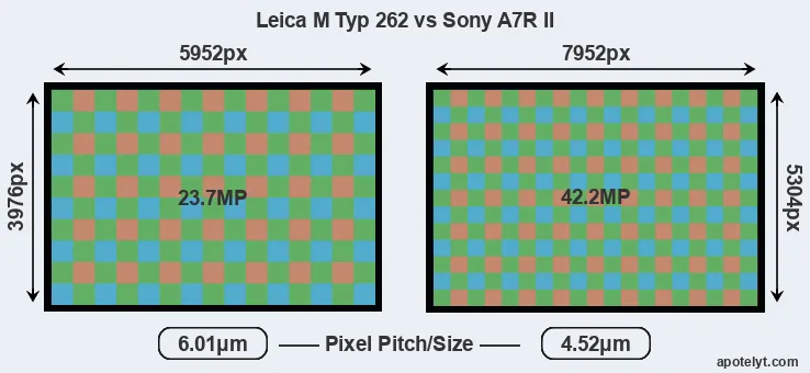 M Typ 262 versus A7R II MP
