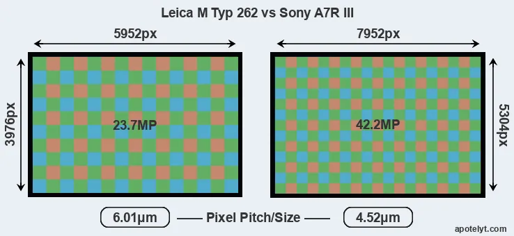 M Typ 262 versus A7R III MP