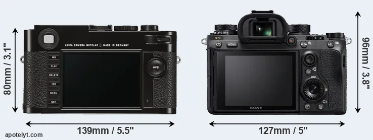 Comparison M Typ 262 or A9 rear