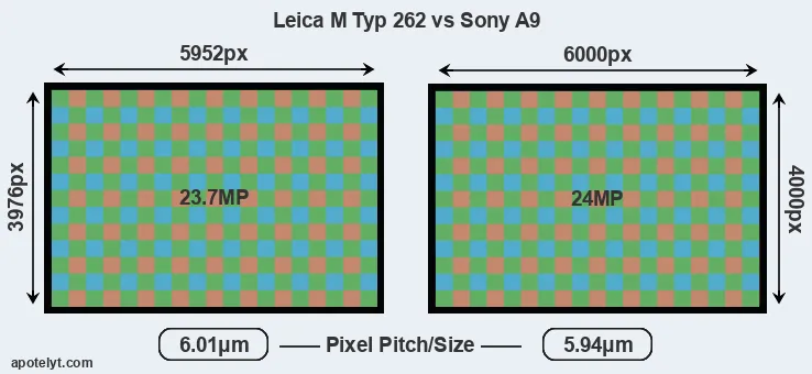 M Typ 262 versus A9 MP