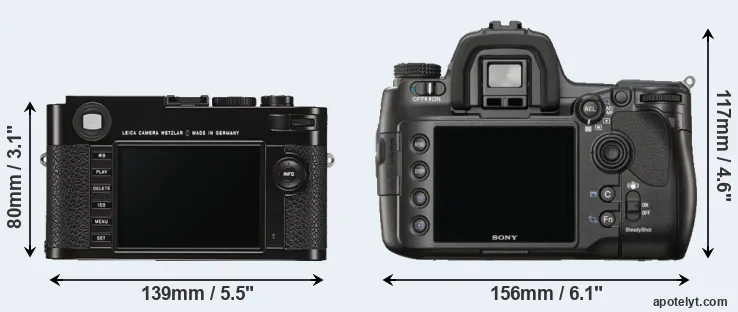 Comparison M Typ 262 or A900 rear