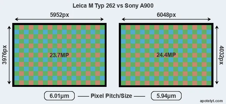 M Typ 262 versus A900 MP