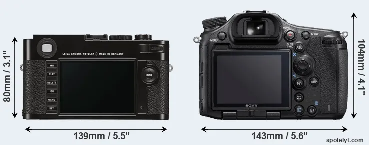 Comparison M Typ 262 or A99 II rear