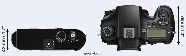 Compare M Typ 262 versus A99 II top