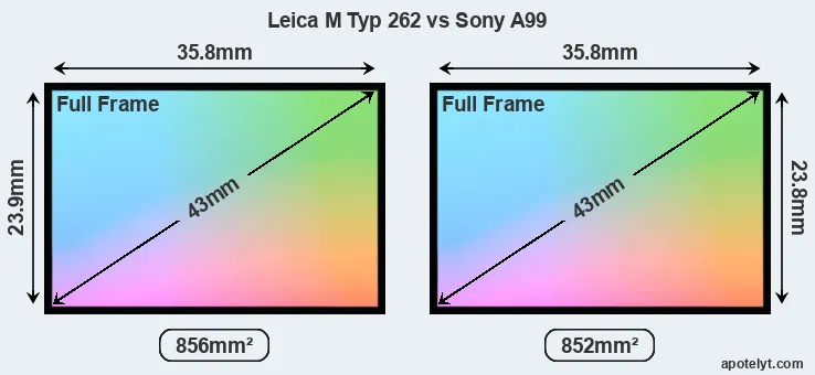Leica M Typ 262 and Sony A99 sensor measures