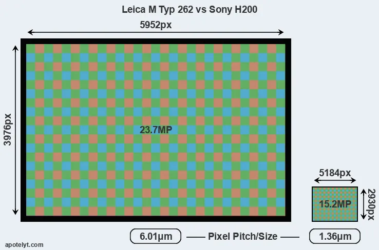 M Typ 262 versus H200 MP