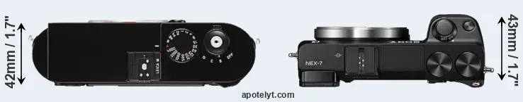 Compare M Typ 262 versus NEX-7 top