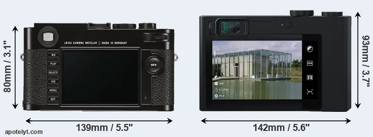 Comparison M Typ 262 or ZX1 rear