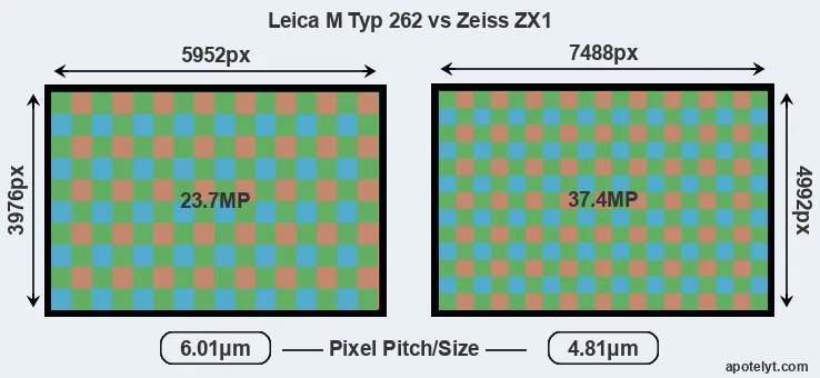M Typ 262 versus ZX1 MP