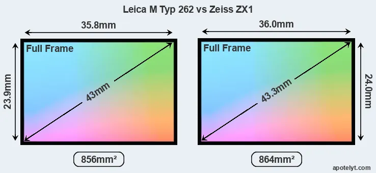 Leica M Typ 262 and Zeiss ZX1 sensor measures