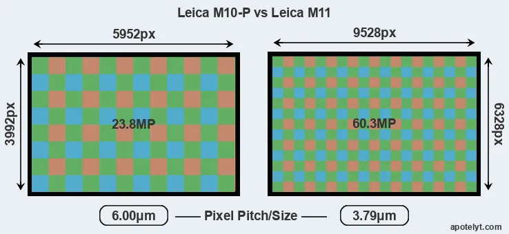 M10-P versus M11 MP