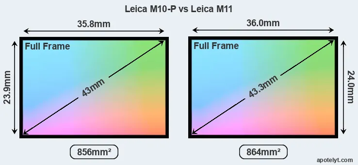 Leica M10-P and Leica M11 sensor measures