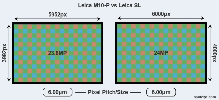 M10-P versus Leica SL MP