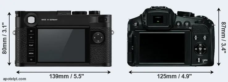 Comparison M10-P or V-LUX 4 rear