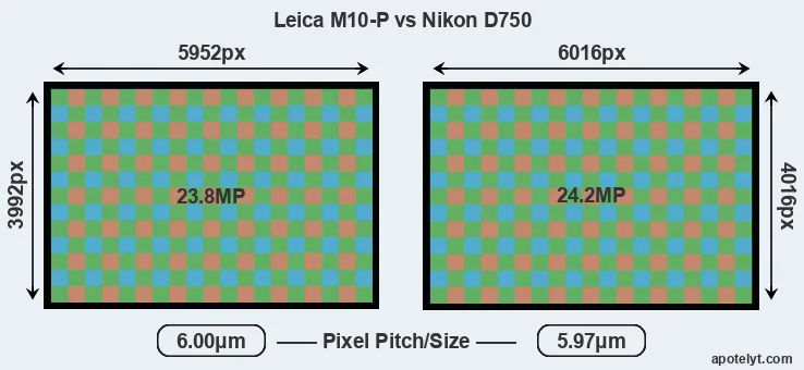 M10-P versus D750 MP