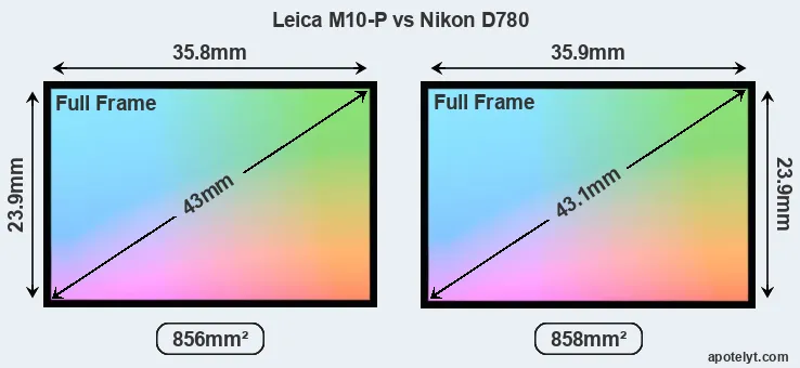 Leica M10-P and Nikon D780 sensor measures