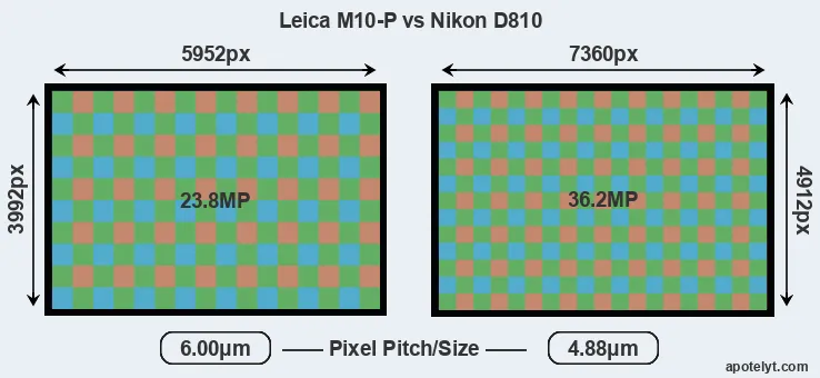 M10-P versus D810 MP